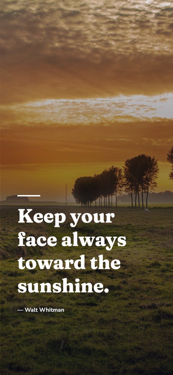 Keep your face always toward the sunshine Phone Wallpaper